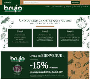 Screenshot 2023 02 07 at 20 05 52 Maison Raoul Gey e1748846486655